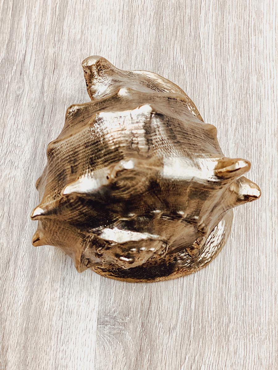 Vintage 9 Brass Conch Shell Seashell Planter Brass Seashell