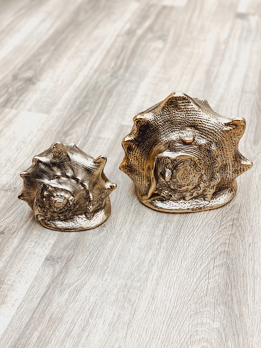 Brass Seashell - Brass Conch Shell - Vintage Brass Sea, Pursuing Vintage